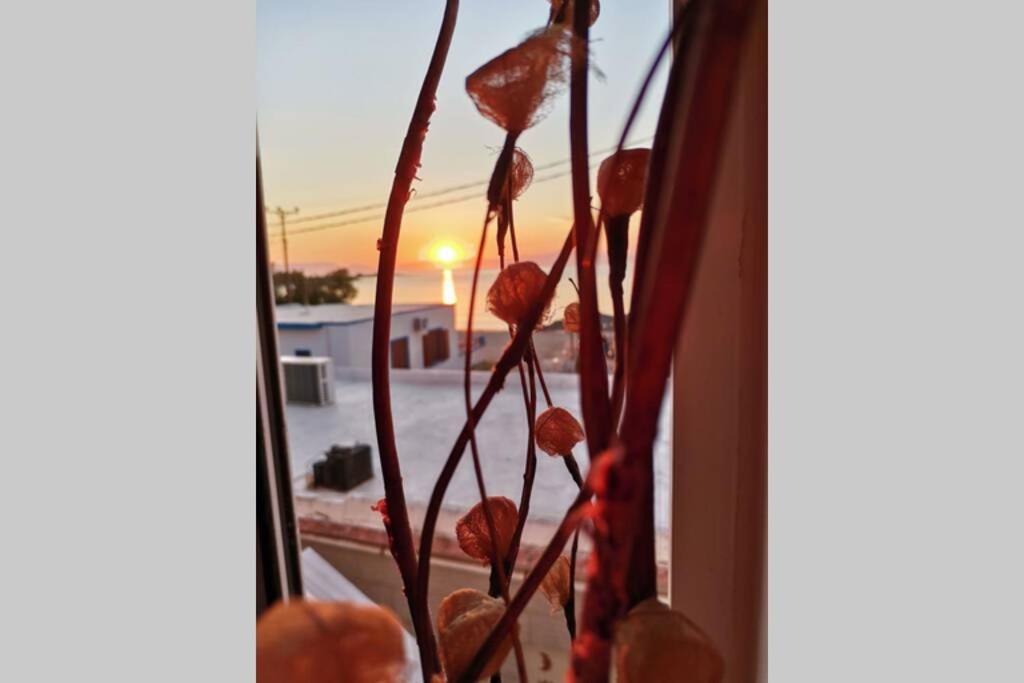 Apartament Mar Azul Σπίτι Δίπλα Στην Παραλία Και Στο Κέντρο! Elafonissos Zewnętrze zdjęcie